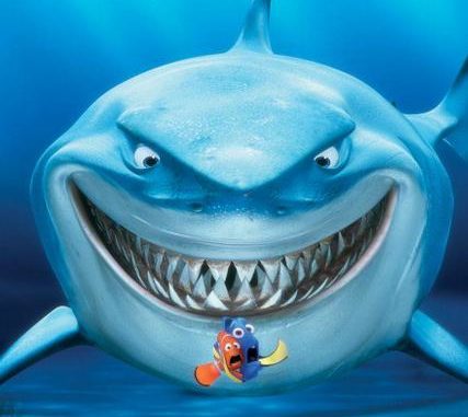 fishandshark