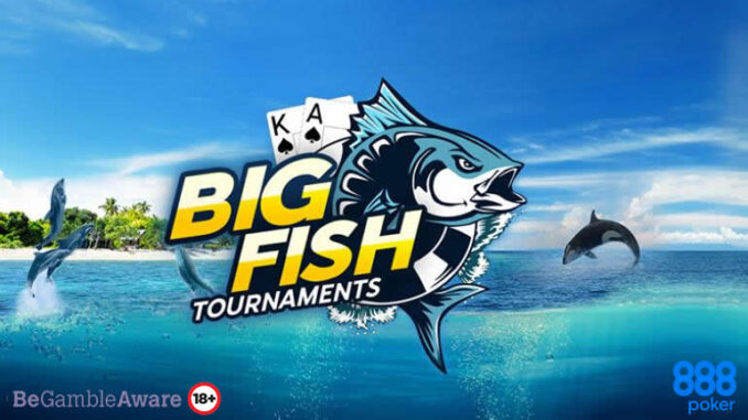 888poker-big-fish-online 888poker-big-fish-online