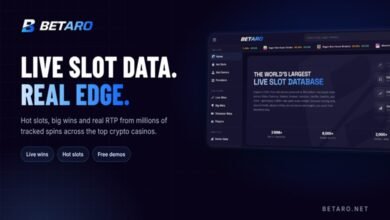 Betaro casinos including Stake Gamdom Roobet Rainbet