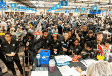 Estadísticas cifras del Main Event WSOP 2026