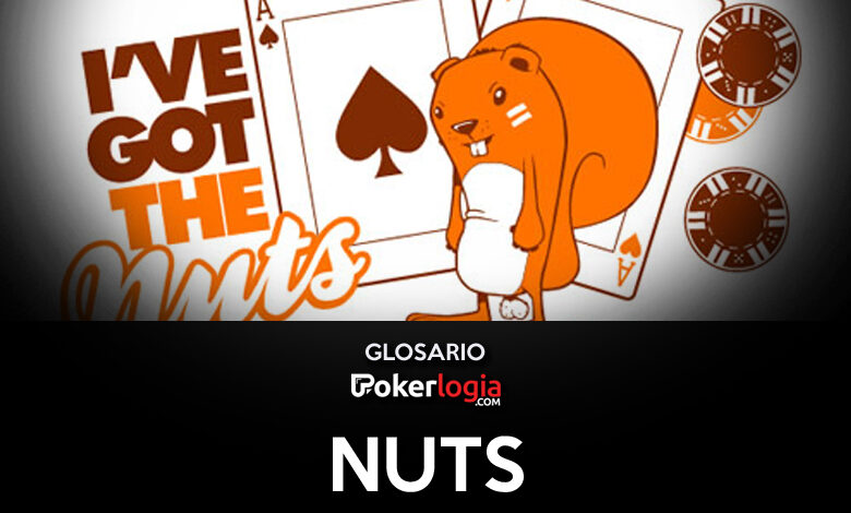 Ardilla con un as de pica y un as de corazones de fondo con la leyenda "I've got the nuts"