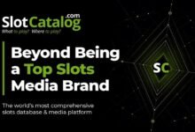 SlotCatalog Briefs on Data Subscription