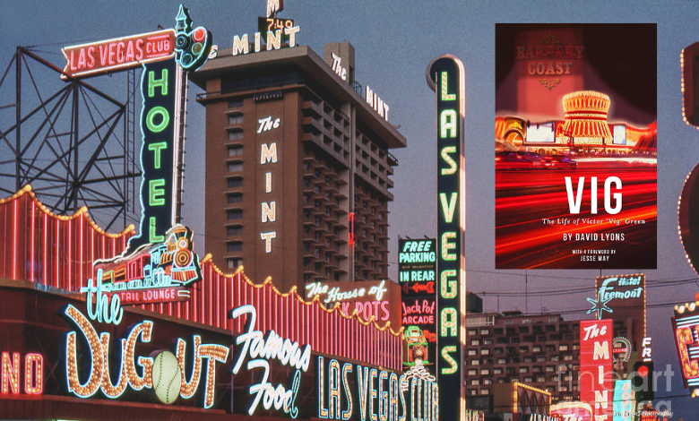 LIBROS: Reseña de la novela «VIG» de David Lyons VIG David Lyons