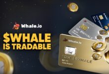 Whale.io Launches WHALE NFT Collection on Solana New Pre Market Phase Ahead of TGE