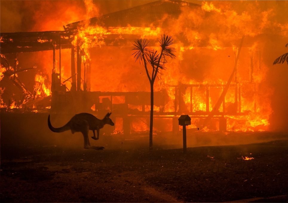 australia-incendio-poker-donation