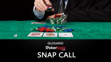 glosario snapcall